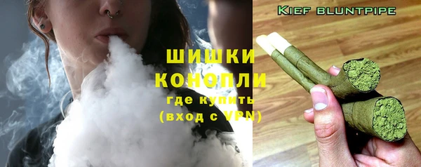 шишки Гусиноозёрск
