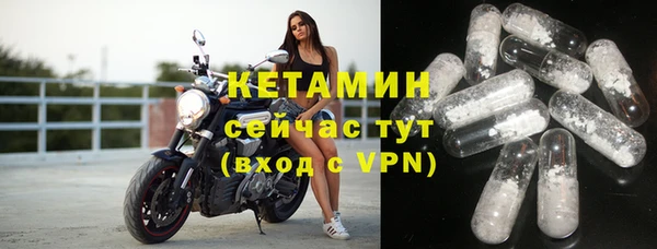 шишки Гусиноозёрск