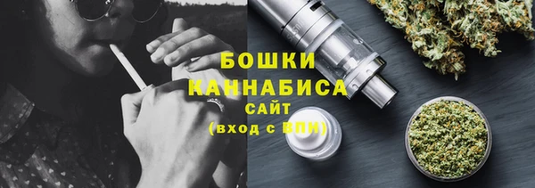 хмурый Дмитриев