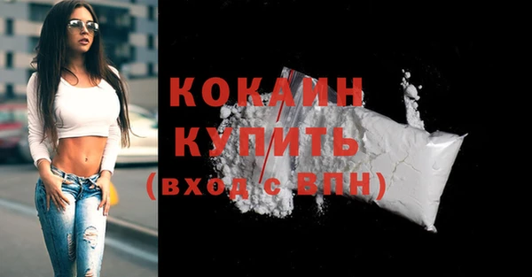шишки Гусиноозёрск