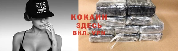 PSILOCYBIN Гусев