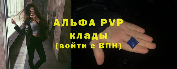 шишки Гусиноозёрск