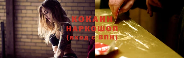 PSILOCYBIN Гусев
