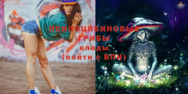 PSILOCYBIN Гусев
