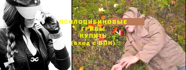 хмурый Дмитриев