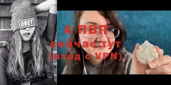 шишки Гусиноозёрск