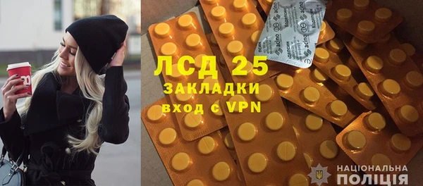 шишки Гусиноозёрск