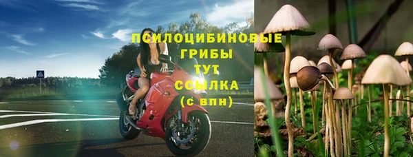 хмурый Дмитриев