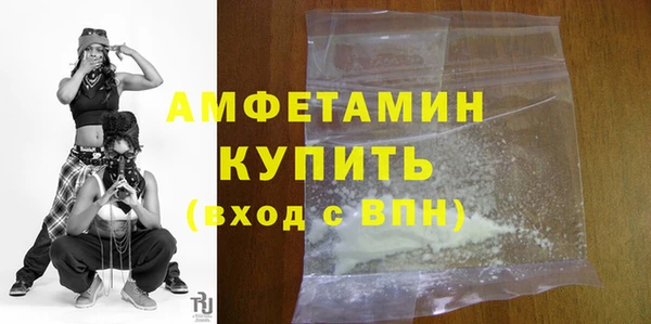 шишки Гусиноозёрск