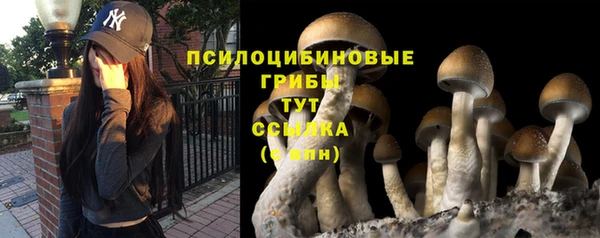 твердый Гусь-Хрустальный
