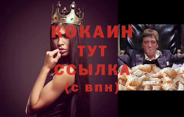 кокс Дмитров