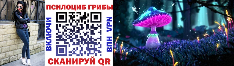 Купить закладки  Назрань  Галлюциногенные грибы ЛСД 